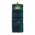 картинка Clans of Scotland Ross Hunting от магазина  Mykilt